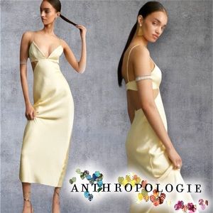 Anthropologie Formal Gown